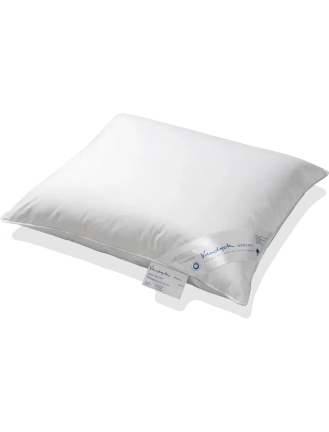 Vandyck Kapok Silver hodepute 60x70 fast