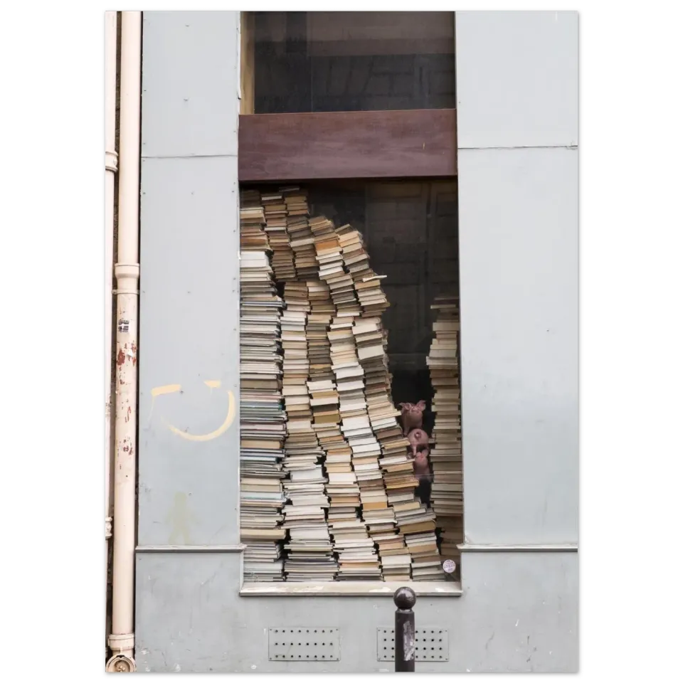 Hellstrøm Bookstore Rue Vivienne Paris plakat 50x70 cm halvblank