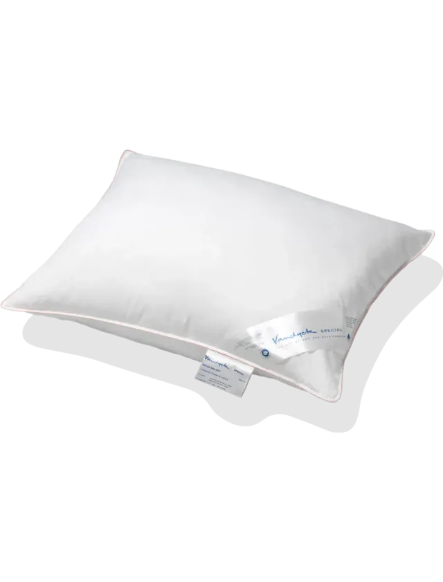 Vandyck Special pute 60x70 cr.lat. zalm fast