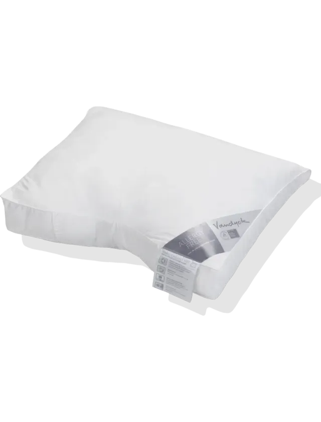 Vandyck Allergy Free Myk pute 60x70 Cocoon Eco2