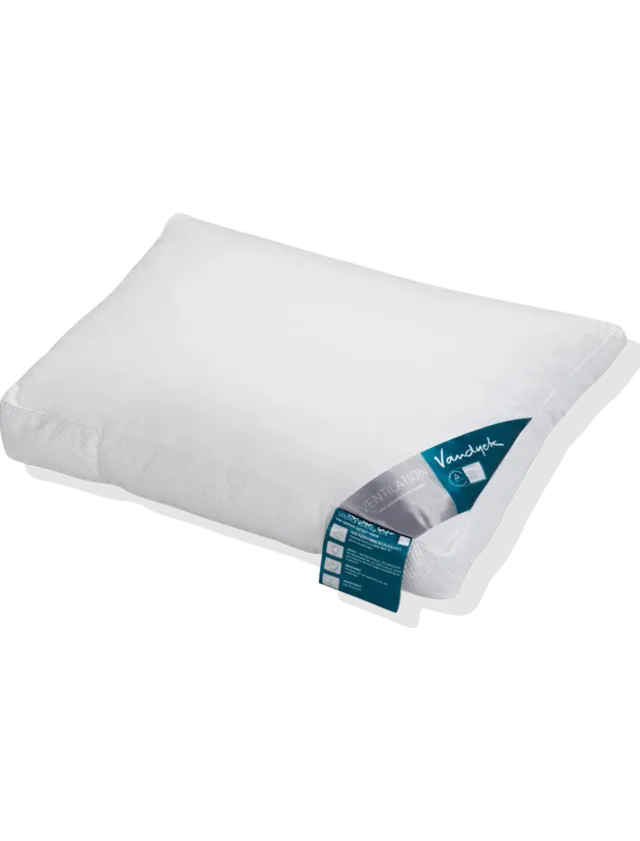 Vandyck Ventilation Medium pute 60x70 syntetisk